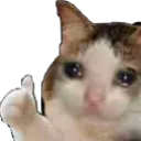 cat_thumb Discord Emoji