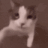 a_gatobeijo Discord emoji