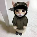 YeatCat