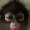 Mexicano_furioso