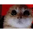 RAGEY RAGEY