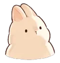 bunnn_stareeee