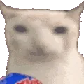 NomNomWatching