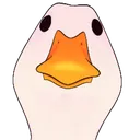 Goosojis_GooseStare