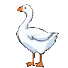 Goosojis_GooseHonk