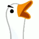 Goosojis_GooseYellMad Goosojis_GooseYellMad