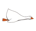 Goosojis_GooseCrawlFloor Goosojis_GooseCrawlFloor