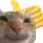 thumbcat