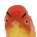 Angryfishy Angryfishy