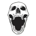 real_skull