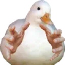Goosojis_GooseStealHands
