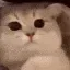 3_