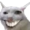 XD
