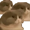 CatMunches CatMunches