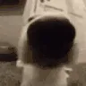 Sniff