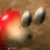 bulborbeyes
