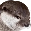 Dddremovebgpreview1 Discord Emoji