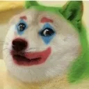 joker_doge