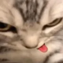 CZ_bleh Discord emoji