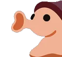 SAP_ConeSnail_Noot