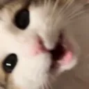 happy