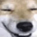 gcc_doggo_hehe