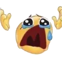 narcizmoji2