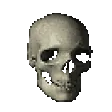 skullSpin