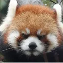 angry