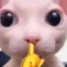 e_shhh