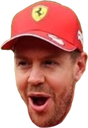 VettelPog