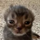littlebabaiey