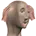 panik