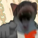 nari_laugh nari_laugh