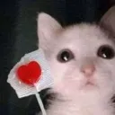 emoji_161