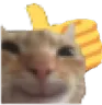 thumbcat