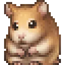 Hamster
