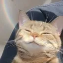 Happycat happycat Discord Emoji