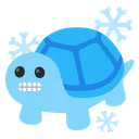 TURTLE_cold