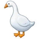 umm