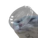CupCat1