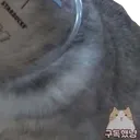 CupCat4
