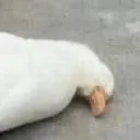 ded