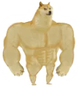 GymDoge