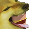 dogeborgir Discord Emoji