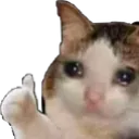 sadcatthumbsup