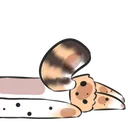 serval_long_03 serval_long_03