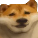 6429dogechad Discord Emoji