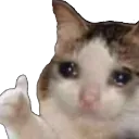 thumbsupcat