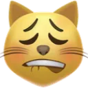 Hotcat Discord Emoji
